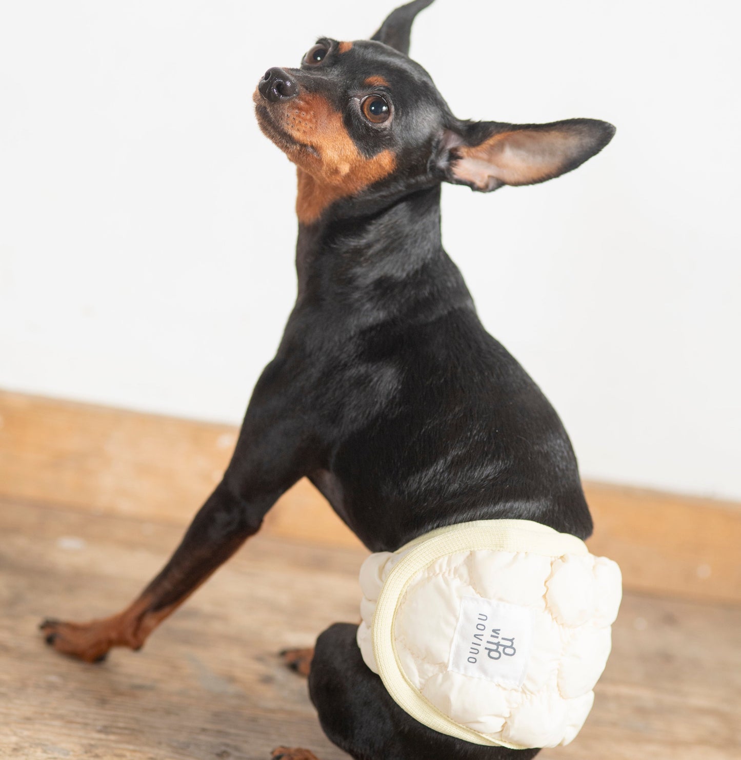 DADADAnovino(ダダダノビノ)マナーベルト 犬用 おむつ