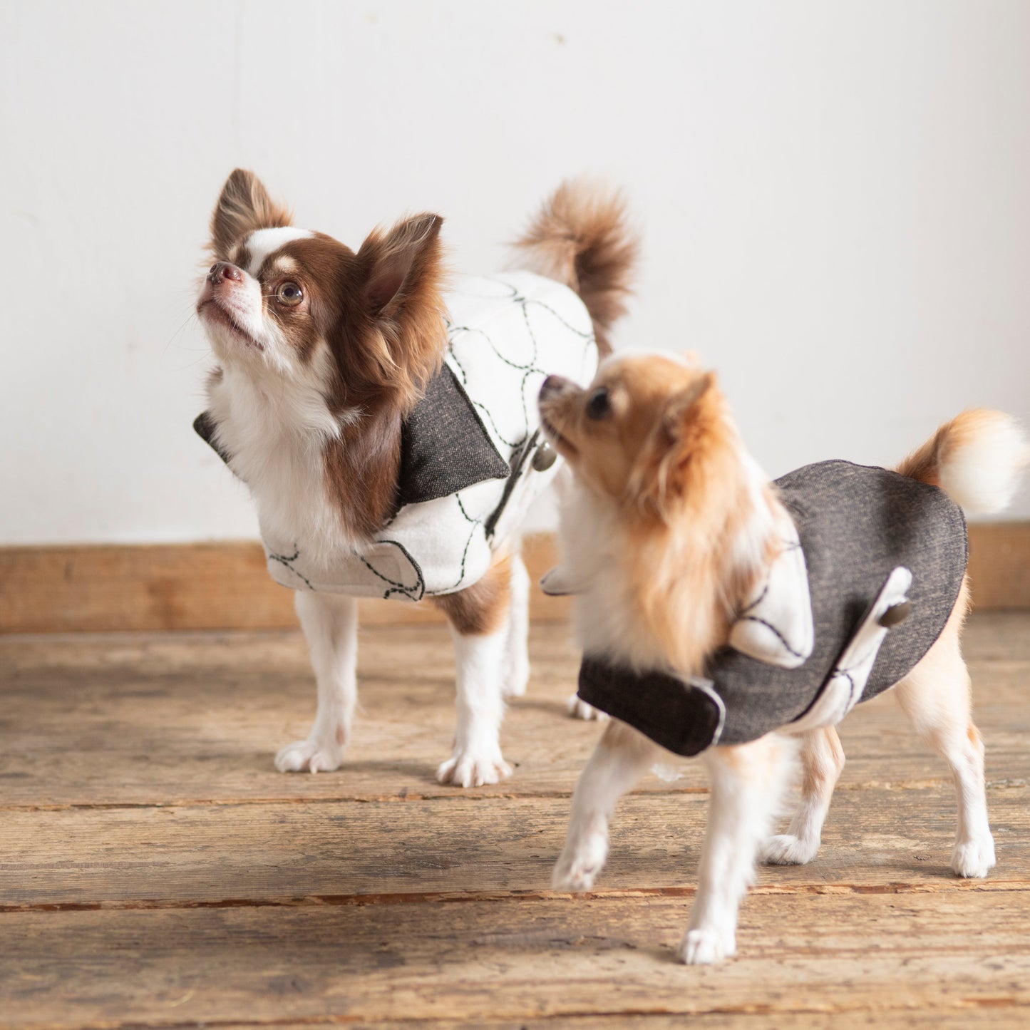 DADADAnovino(ダダダノビノ)リバーシブルケープコート 犬用 ウェア 秋冬向け