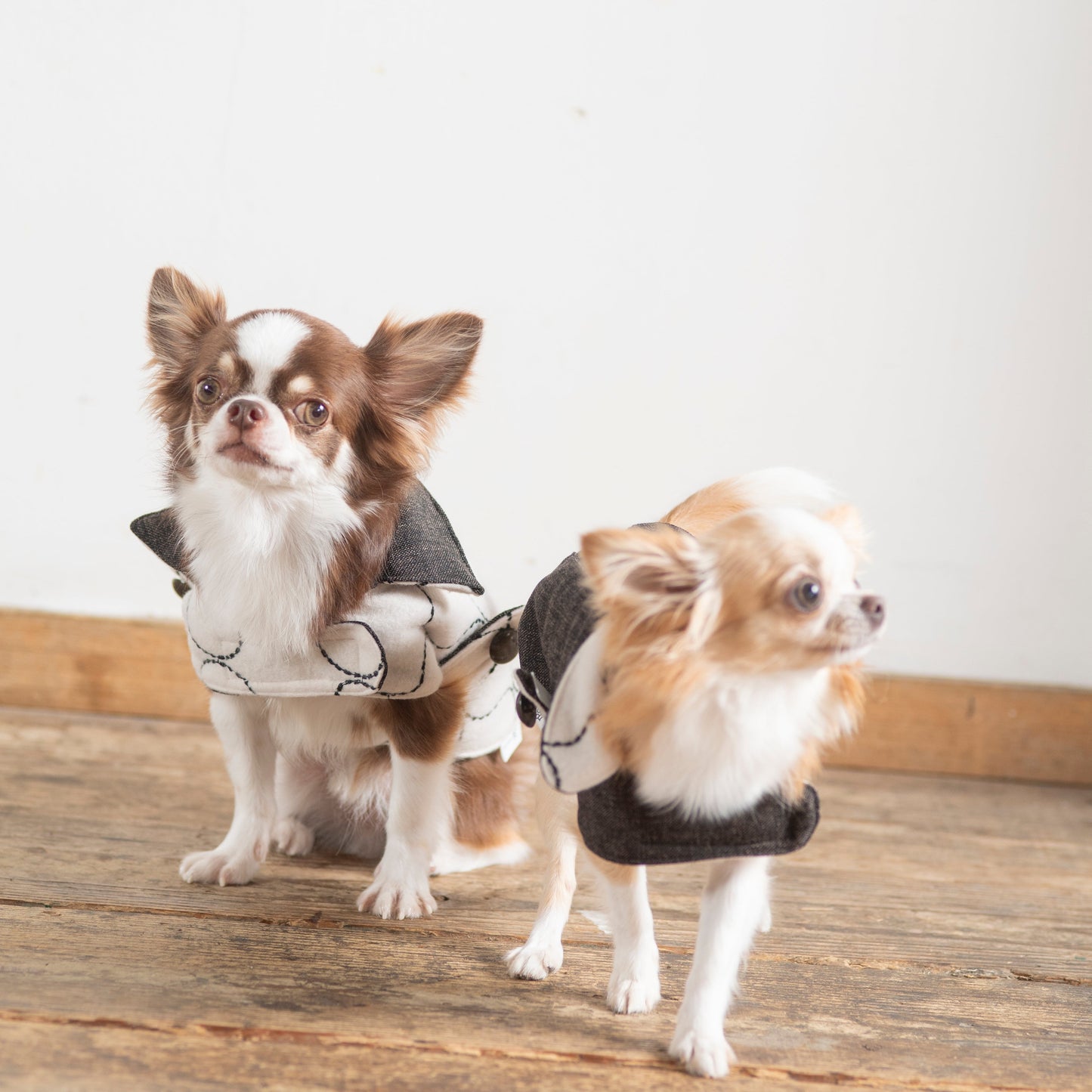 DADADAnovino(ダダダノビノ)リバーシブルケープコート 犬用 ウェア 秋冬向け