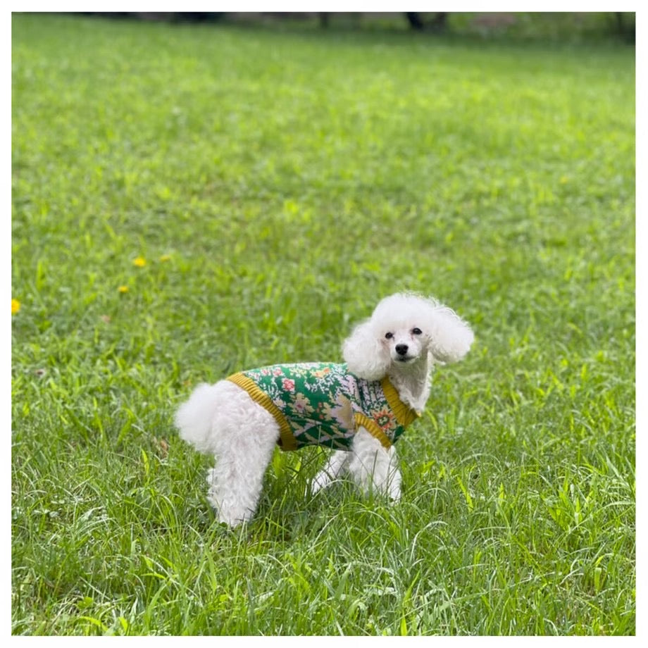 COQ Dog wear(コキュウドッグウェア)FOREST MEMORY ドッグウェア 犬用ウェア