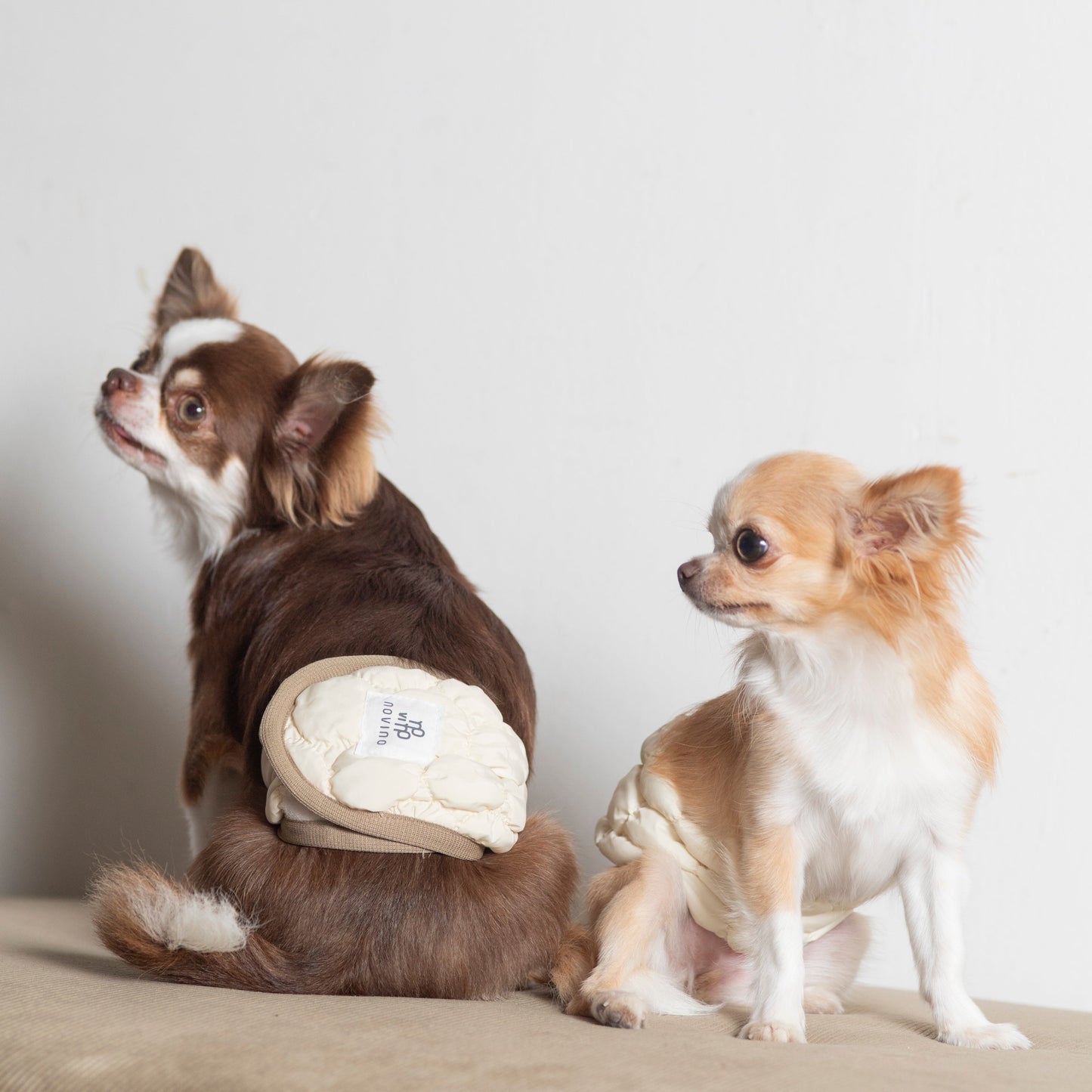 DADADAnovino(ダダダノビノ)マナーベルト 犬用 おむつ