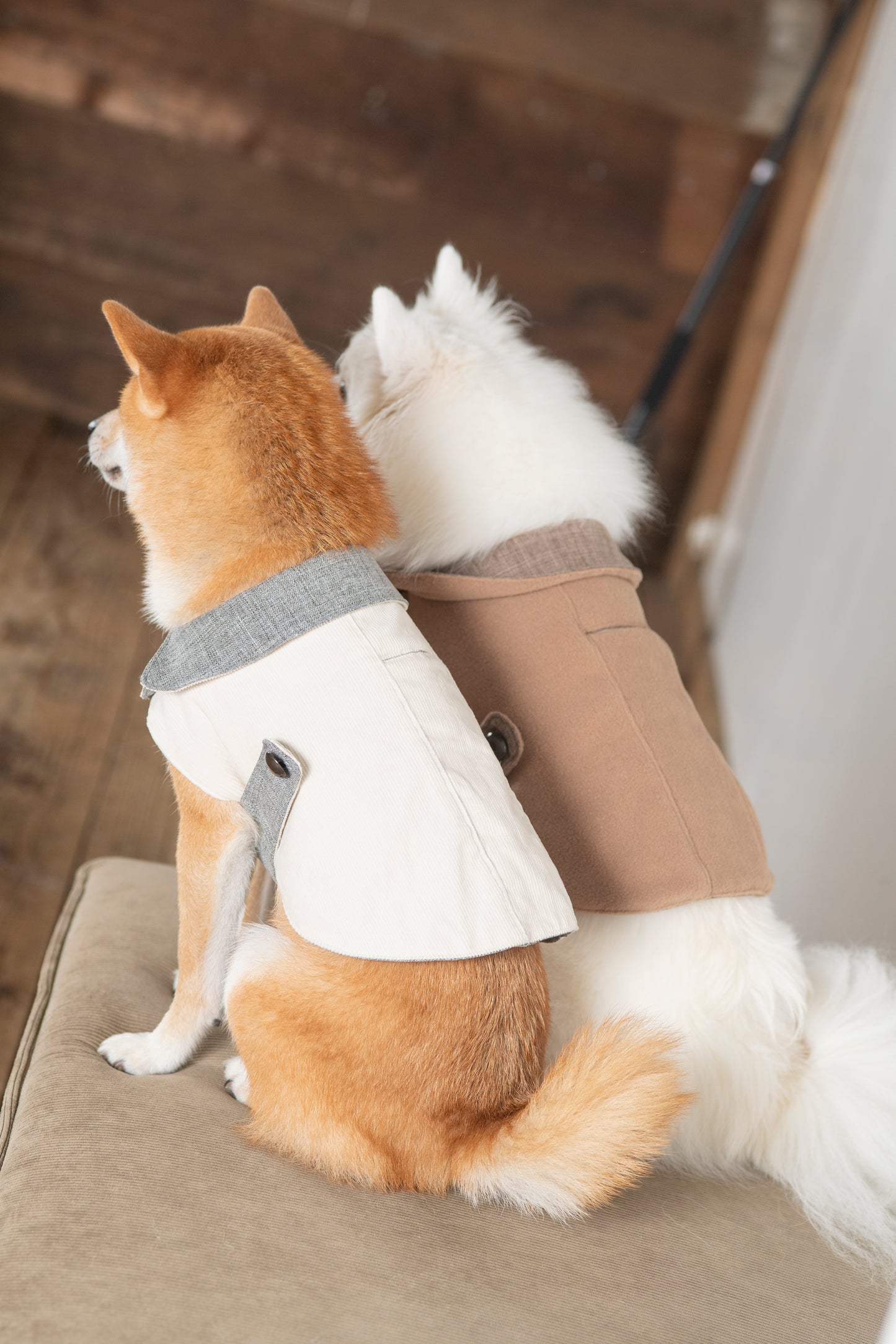 DADADAnovino(ダダダノビノ)リバーシブルケープコート 犬用 ウェア 秋冬向け