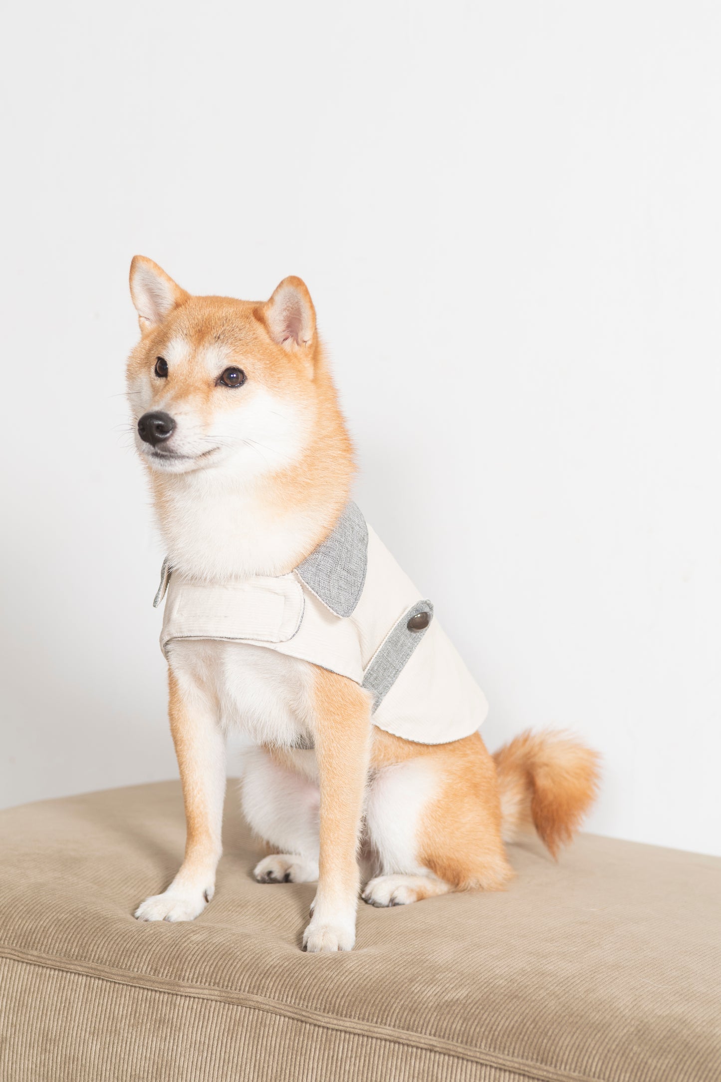 DADADAnovino(ダダダノビノ)リバーシブルケープコート 犬用 ウェア 秋冬向け