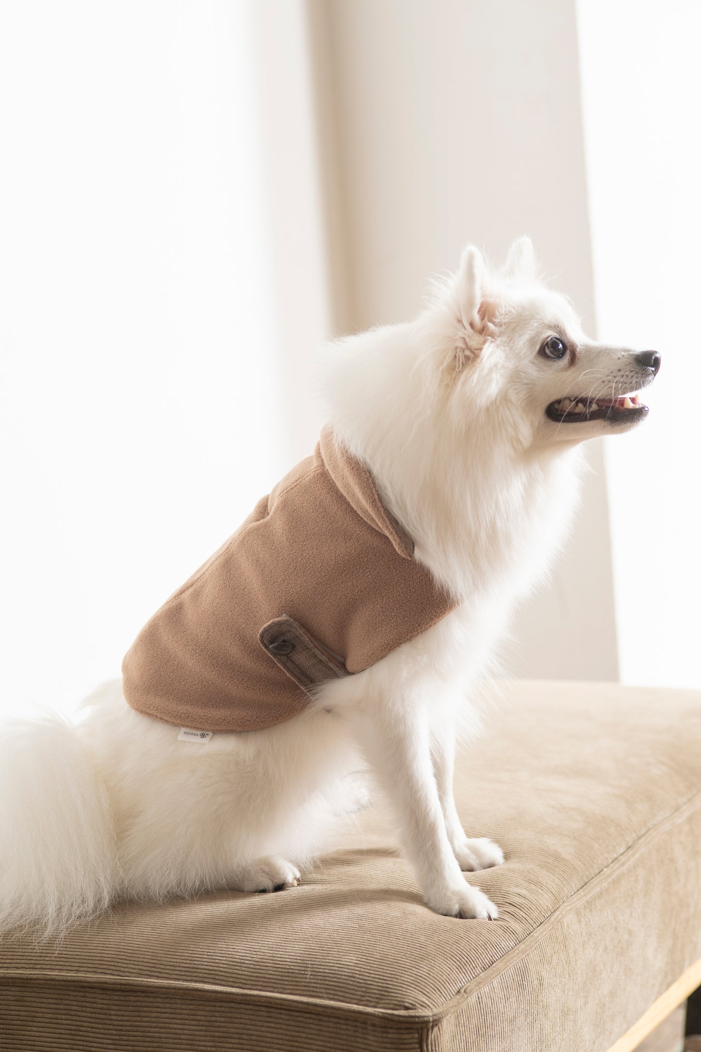 DADADAnovino(ダダダノビノ)リバーシブルケープコート 犬用 ウェア 秋冬向け