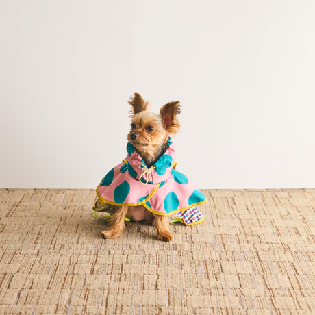 COQ Dog wear(コキュウドッグウェア) DOTS CROSS ドッグポンチョ 犬用 レインウェア
