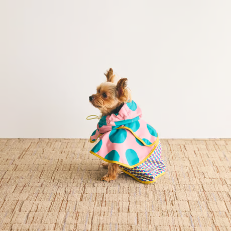 COQ Dog wear(コキュウドッグウェア) DOTS CROSS ドッグポンチョ 犬用 レインウェア