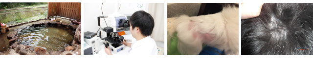 SCALP DOG(スカルプドッグ) フワフワヘア(無香料)<120ml> 被毛ケア 皮膚ケア 育毛
