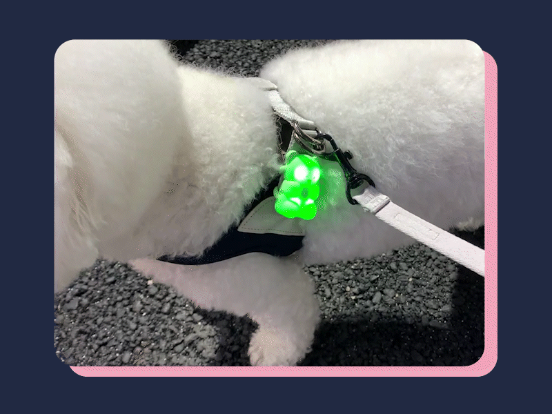 BITE ME (バイトミー) グミベア LED 充電式ウィンカー <全3色>