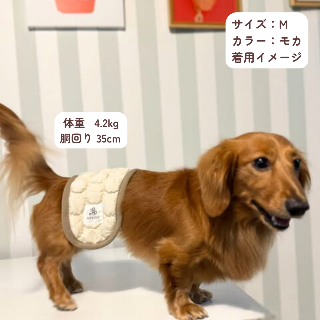 DADADAnovino(ダダダノビノ)マナーベルト 犬用 おむつ