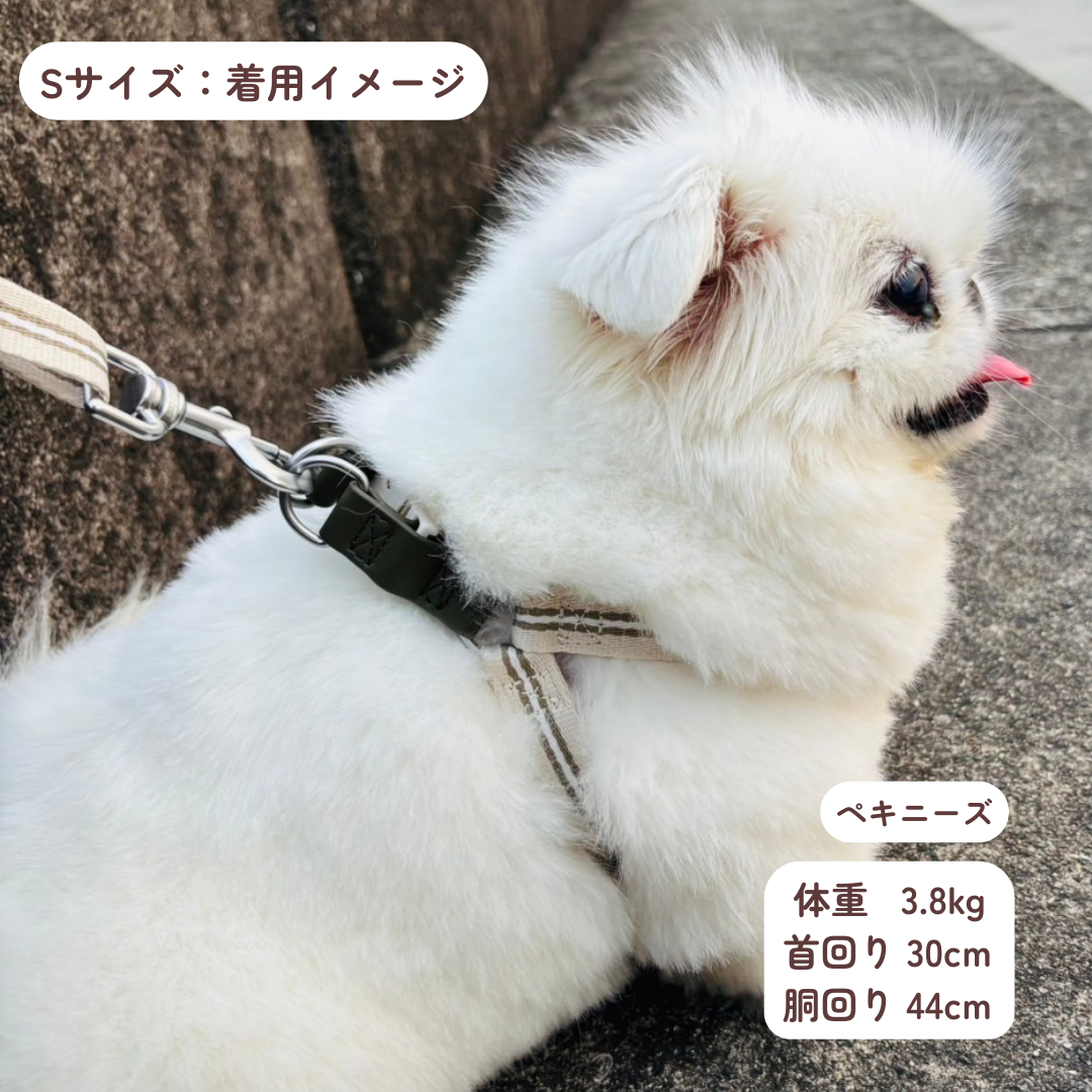 DADADAnovino(ダダダノビノ)バイカラーストライプハーネス 犬用