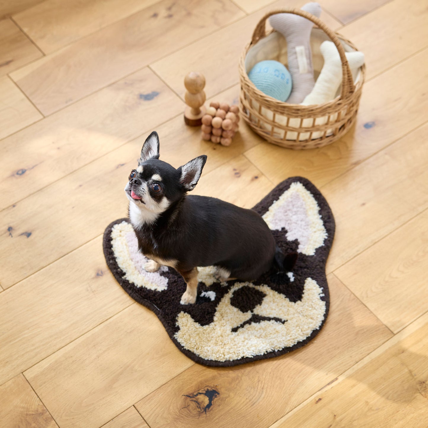 イヌカオ・チワワ|玄関マット・チェアパッド|<全3色>