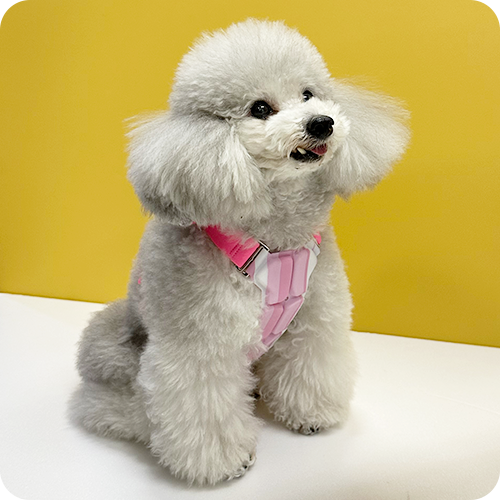 SUO(スオ)SUO 256 ICE for dogs クールベスト熱中症対策 クールアイテム ペット用