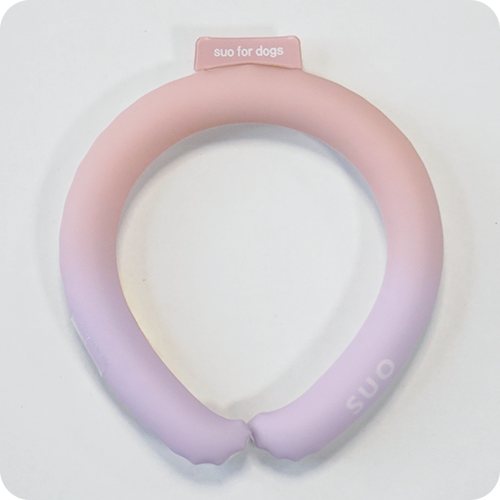 SUO(スオ)2023 SUO 28°ICE COOL RING クールリング ボタンなし 熱中症対策 クールアイテム ペット用