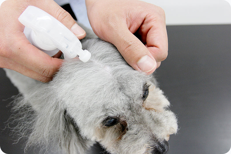 SCALP DOG(スカルプドッグ) フワフワヘア(無香料)<120ml> 被毛ケア 皮膚ケア 育毛