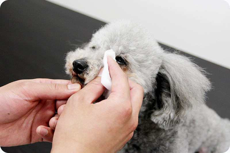 SCALP DOG(スカルプドッグ) フワフワヘア(無香料)<120ml> 被毛ケア 皮膚ケア 育毛