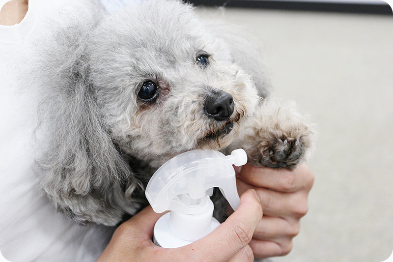 SCALP DOG(スカルプドッグ) フワフワヘア(無香料)<120ml> 被毛ケア 皮膚ケア 育毛
