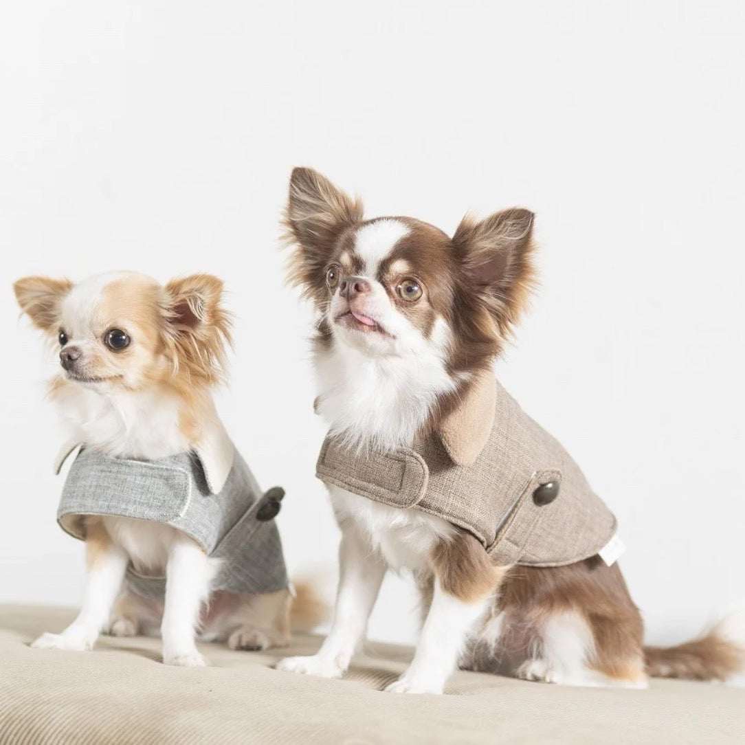 DADADAnovino(ダダダノビノ)リバーシブルケープコート 犬用 ウェア 秋冬向け