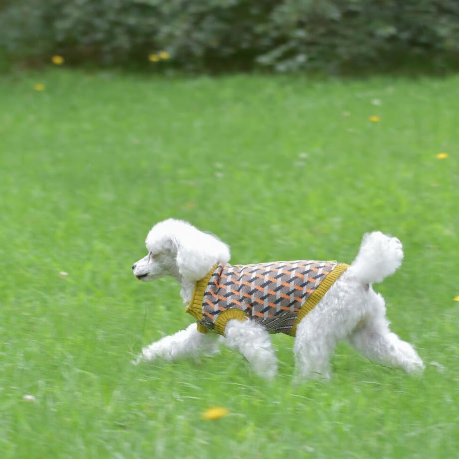 COQ Dog wear(コキュウドッグウェア)EVER CROSS ドッグウェア 犬用ウェア