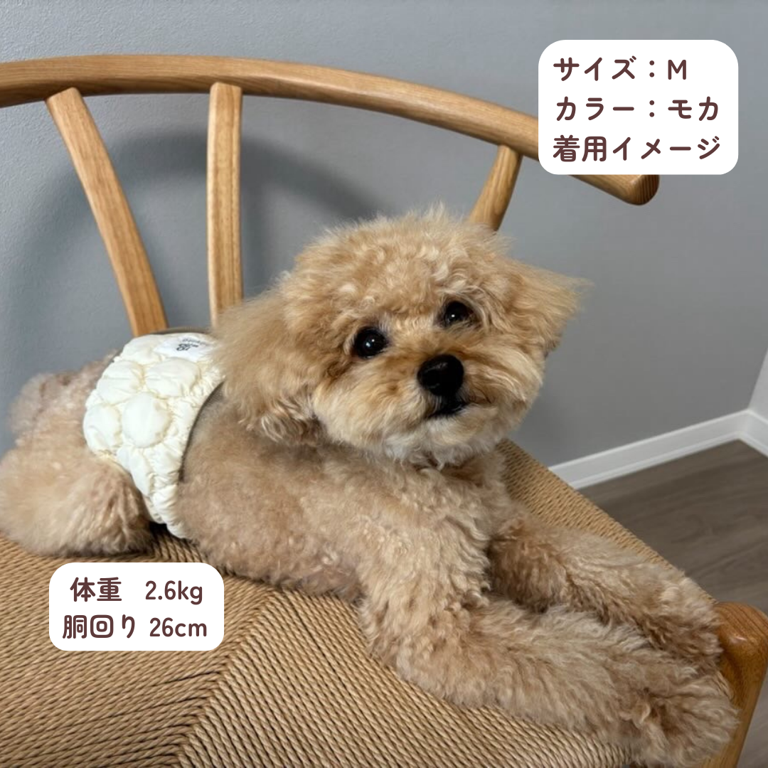 DADADAnovino(ダダダノビノ)マナーベルト 犬用 おむつ