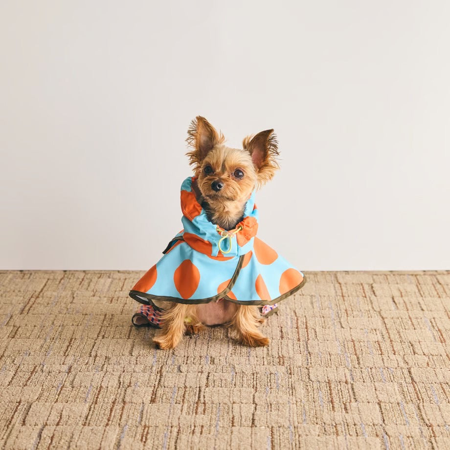 COQ Dog wear(コキュウドッグウェア) DOTS CROSS ドッグポンチョ 犬用 レインウェア