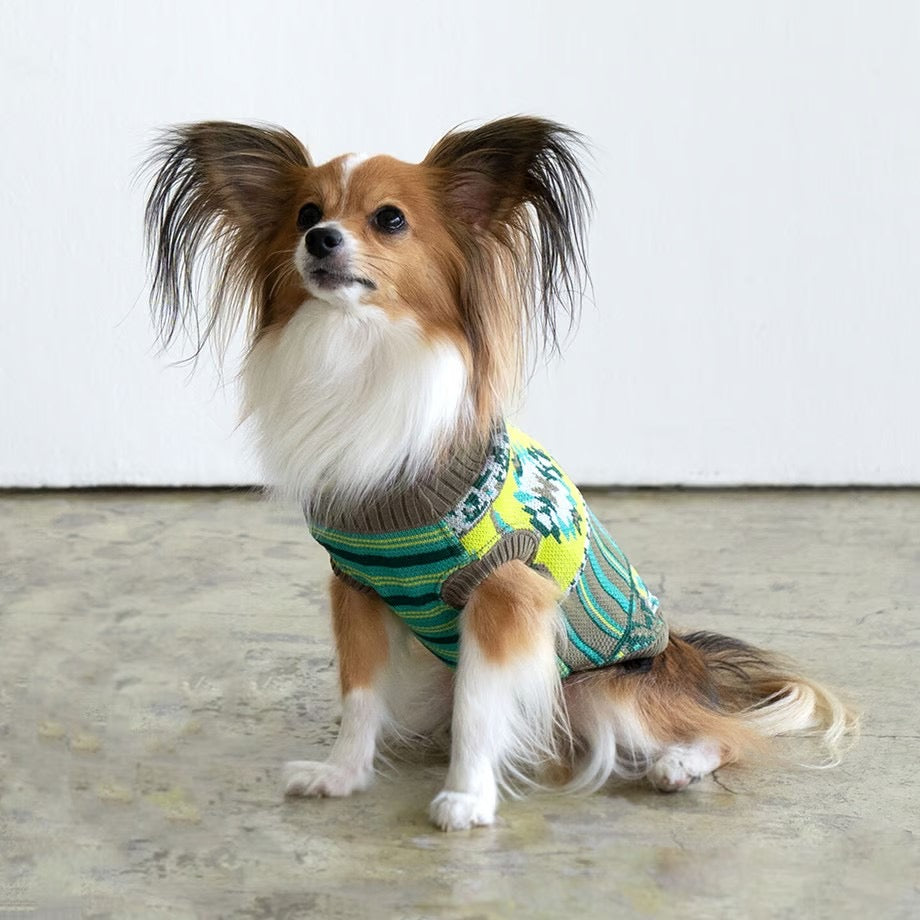 COQ Dog wear(コキュウドッグウェア)TRIBAL BORDER ドッグウェア 犬用ウェア