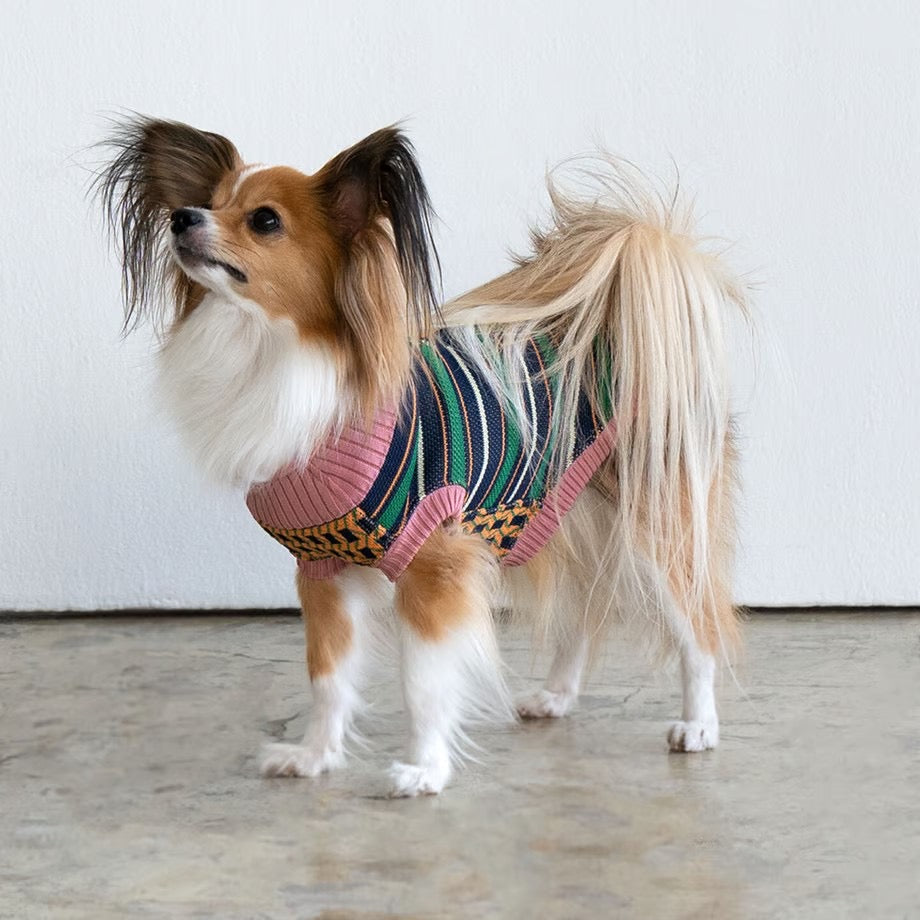 COQ Dog wear(コキュウドッグウェア)OLD MIX ドッグウェア 犬用ウェア
