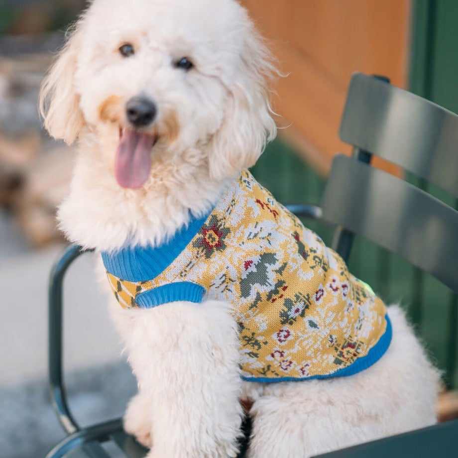 COQ Dog wear(コキュウドッグウェア)FOREST MEMORY ドッグウェア 犬用ウェア