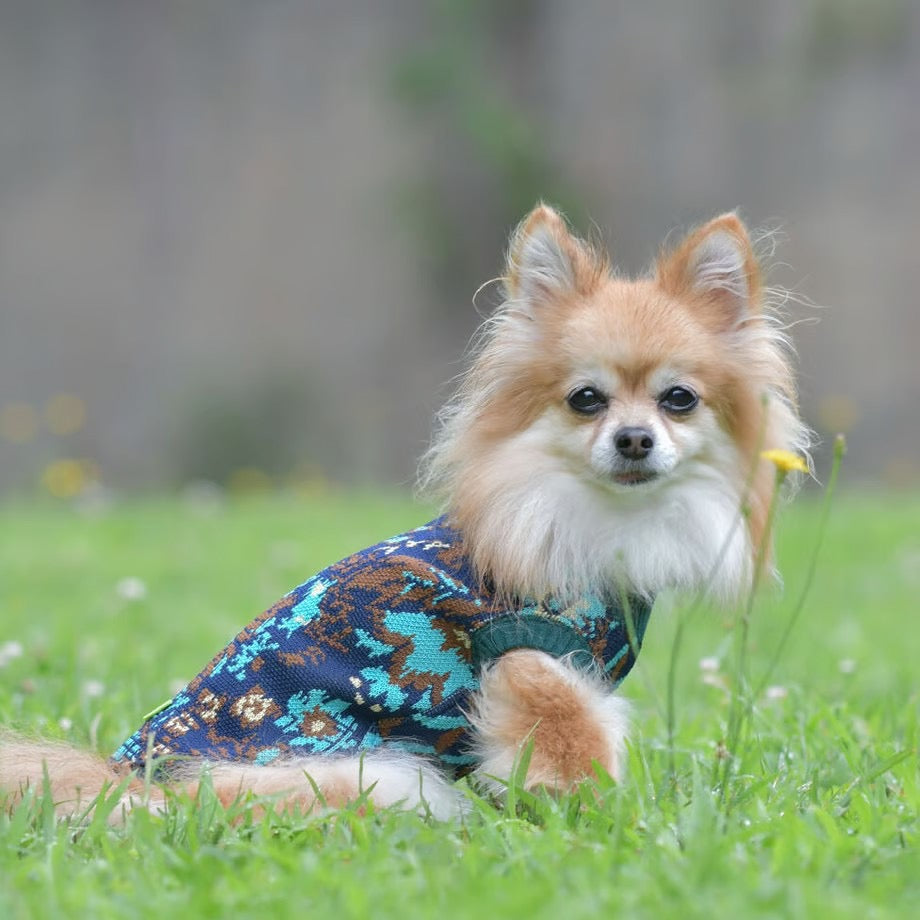COQ Dog wear(コキュウドッグウェア)FOREST MEMORY ドッグウェア 犬用ウェア