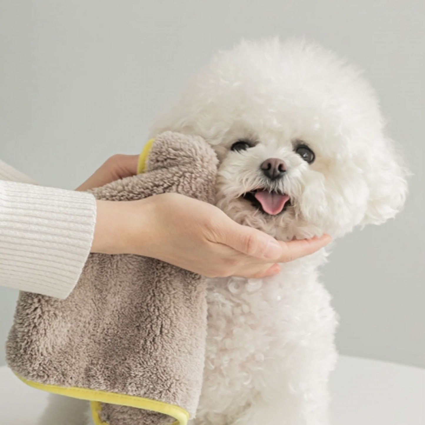 BITE ME (バイトミー)マイクロファイバータオル 2個入 Microfibre Pet Towel Dry Me Mini (2pieces)