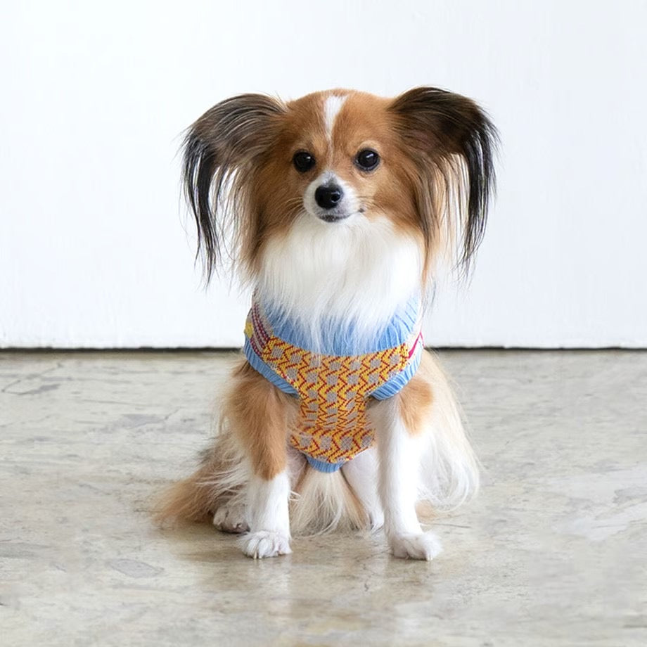 COQ Dog wear(コキュウドッグウェア)OLD MIX ドッグウェア 犬用ウェア