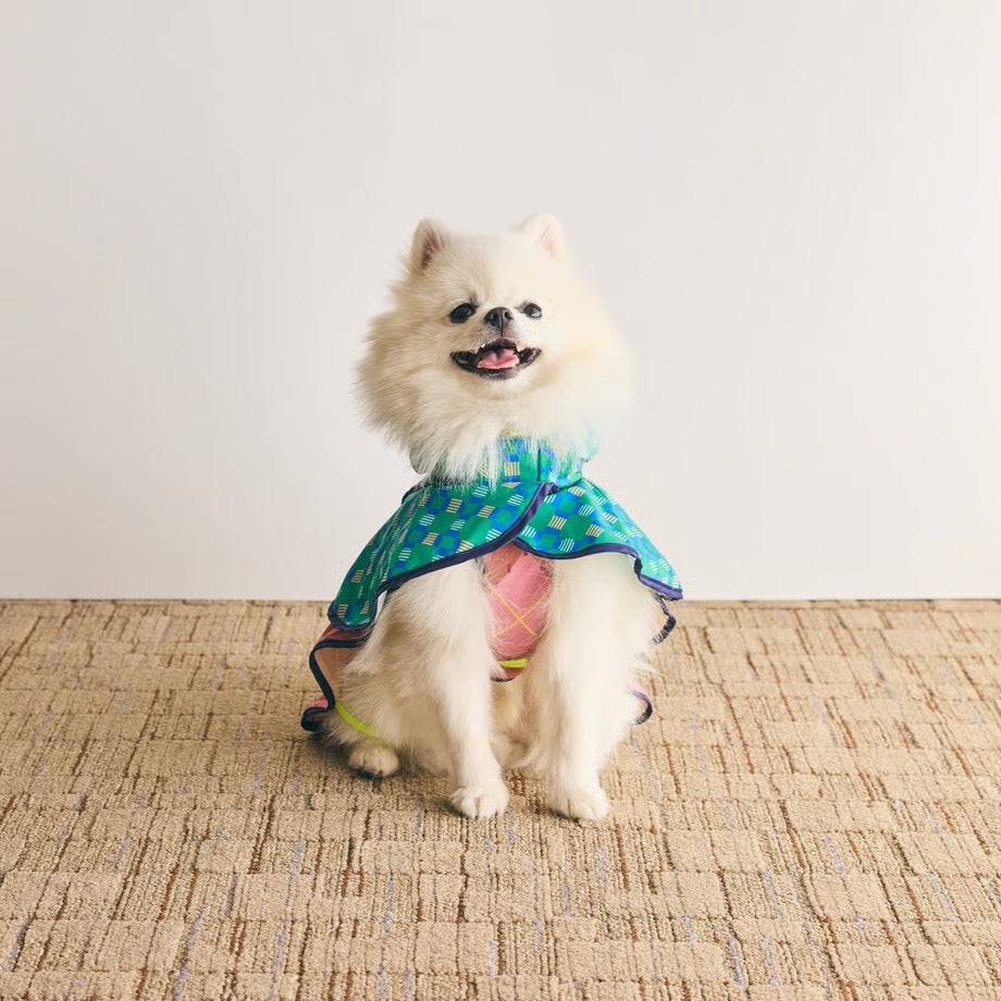 COQ Dog wear(コキュウドッグウェア)PLAID ARGYLE ドッグポンチョ 犬用 レインウェア