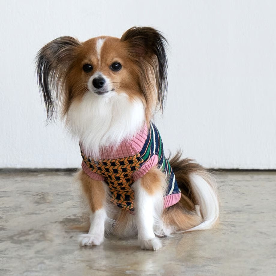 COQ Dog wear(コキュウドッグウェア)OLD MIX ドッグウェア 犬用ウェア