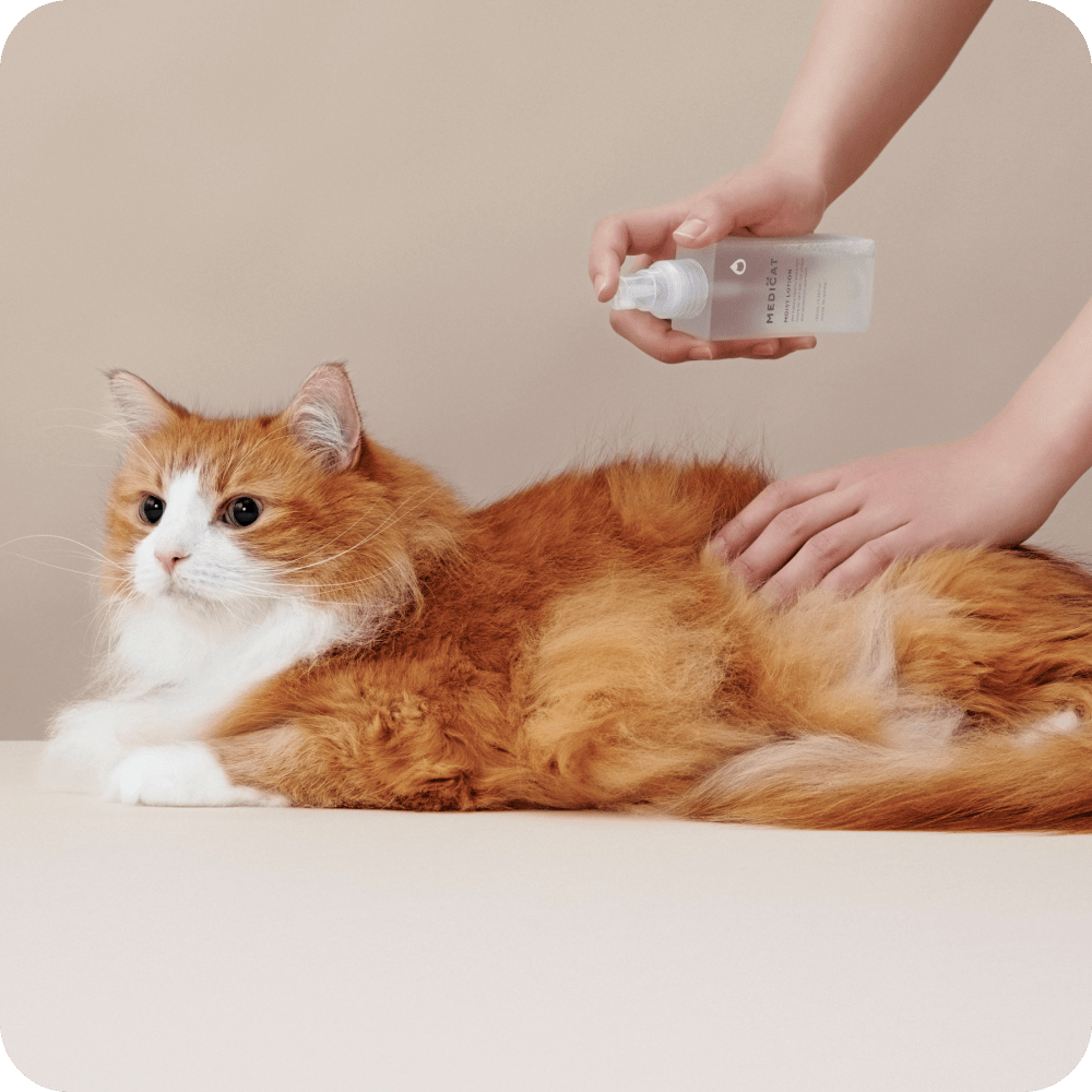 MEDICAT(メディキャット)モイストローション MOIST LOTION スキンケア 皮膚・被毛ケア 猫用