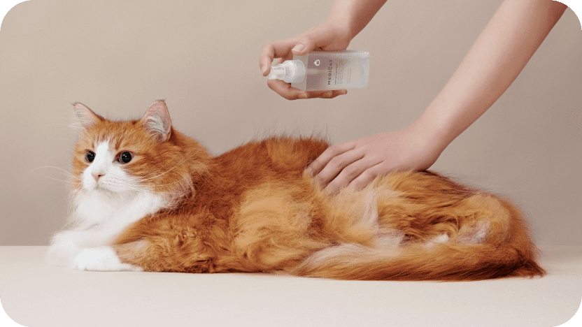 MEDICAT(メディキャット)モイストローション MOIST LOTION スキンケア 皮膚・被毛ケア 猫用