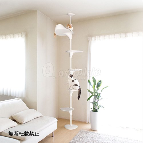 OPPO(オッポ)CatForest-2 / オッポ キャットフォレスト2 キャット OPPO(オッポ)CatForest-2 / オッポ キャットフォレスト2 キャット