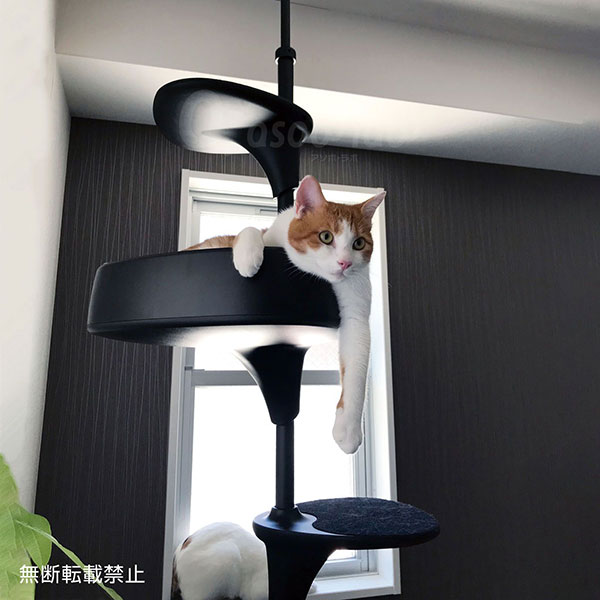 OPPO(オッポ)CatForest-2 / オッポ キャットフォレスト2 キャットタワー