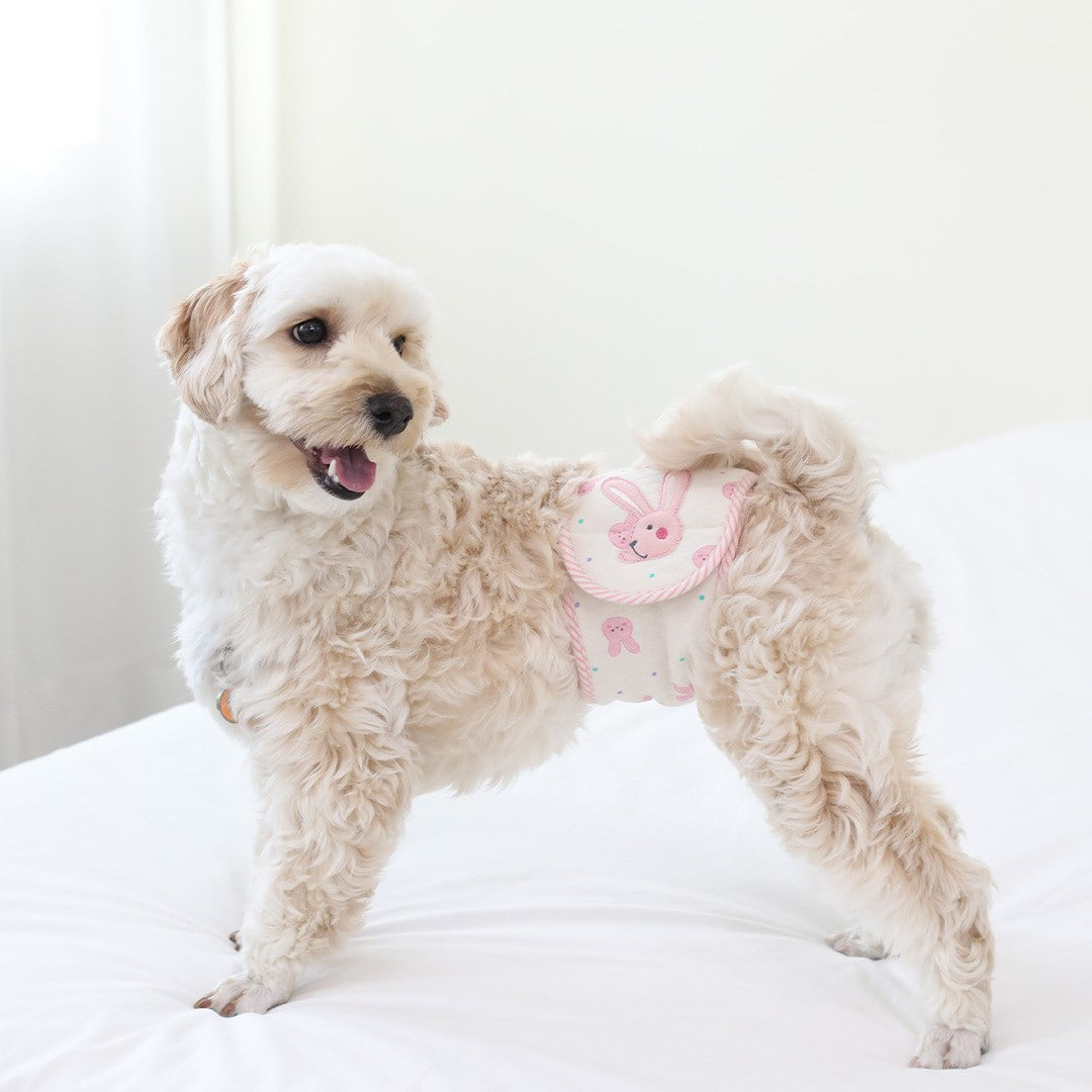 RITOGATO(リトガト)リトガト オーガニックマナーベルト 犬用 おむつ