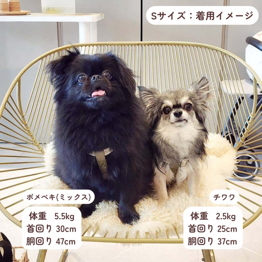 DADADAnovino(ダダダノビノ)バイカラーストライプハーネス 犬用