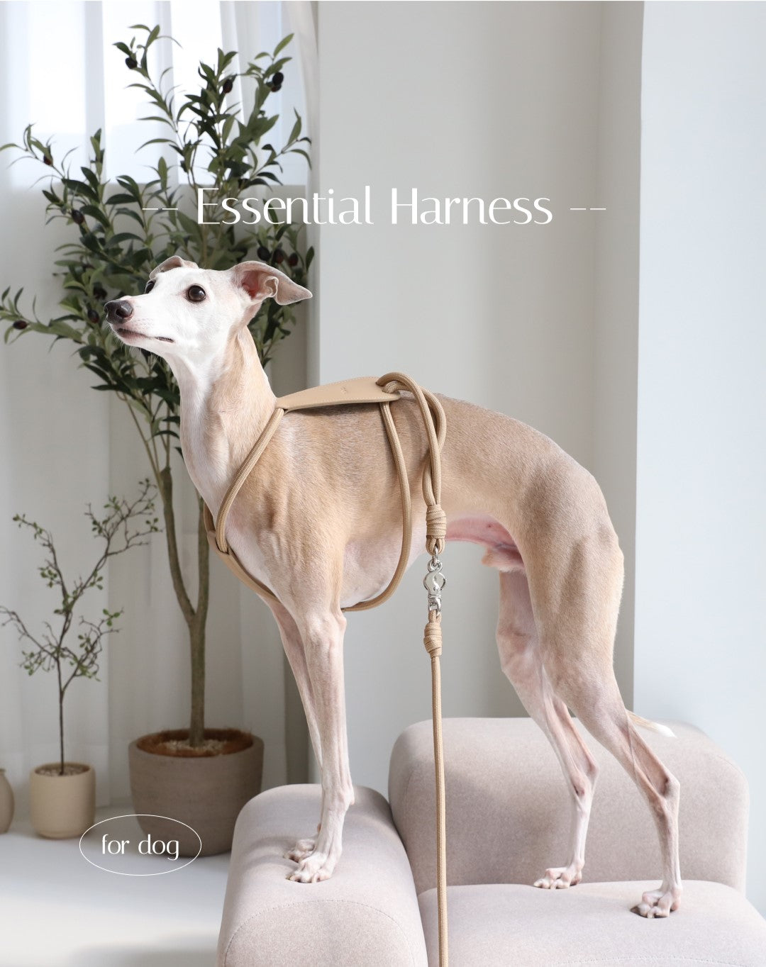 hozi(ホジ)エッセンシャル ハーネス 犬用