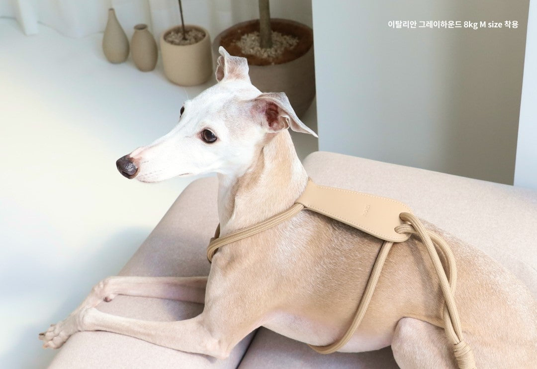 hozi(ホジ)エッセンシャル ハーネス 犬用