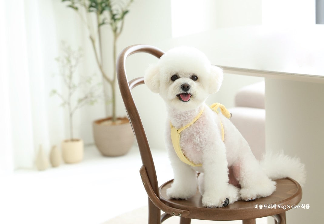 hozi(ホジ)エッセンシャル ハーネス 犬用