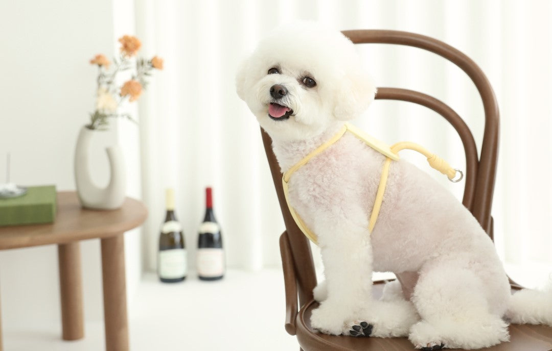 hozi(ホジ)エッセンシャル ハーネス 犬用