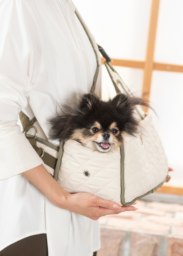 DADADA/novino ダダダノビノ フロントスリングバッグ ver.2 犬 DADADAnovino（ダダダノビノ）フロントスリングバッグ ver.2 犬用 ＜全