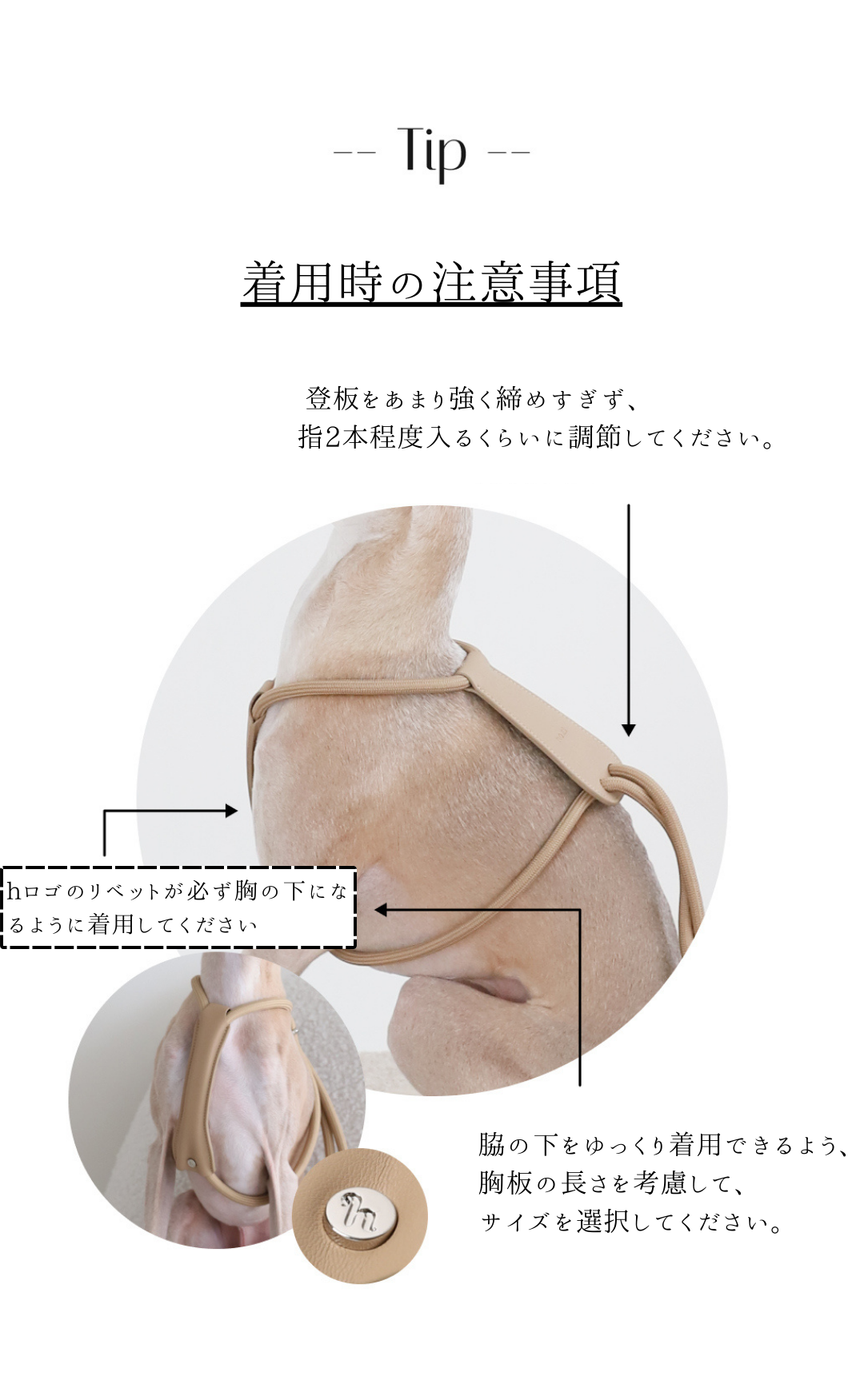 hozi(ホジ)エッセンシャル ハーネス 犬用