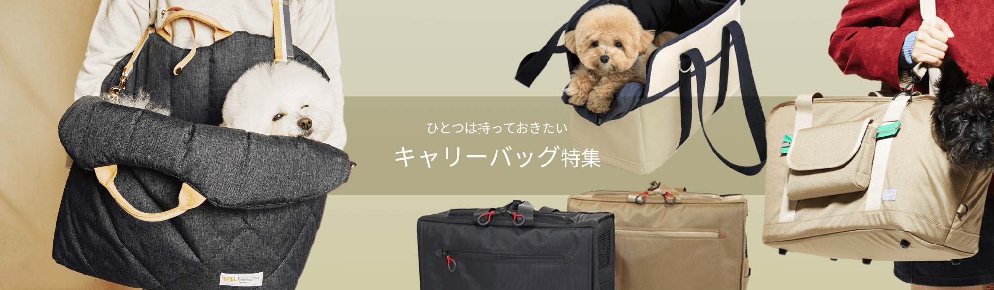 ひとつは持っておきたい キャリーバッグ特集