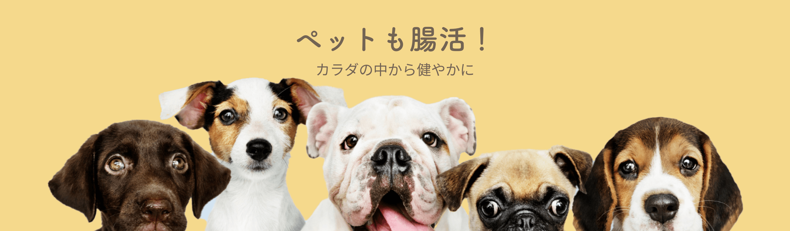ペットも腸活!カラダの中から健やかに