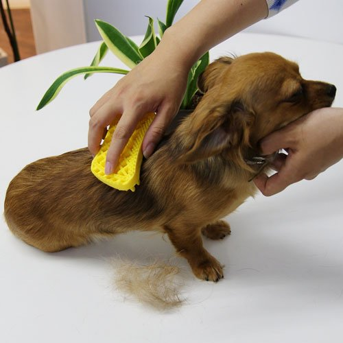 pet+me (ペットアンドミー)ラバーブラシ 被毛ケア 犬猫用