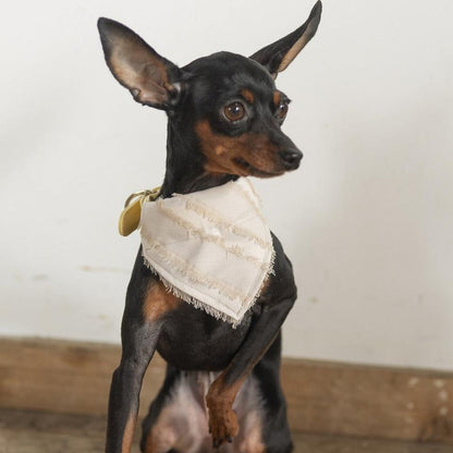 DADADAnovino（ダダダノビノ）カラーループスカーフ 犬猫兼用 バンダナ アクセサリー