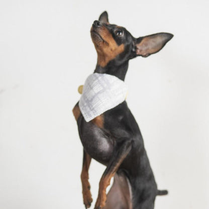 DADADAnovino（ダダダノビノ）カラーループスカーフ 犬猫兼用 バンダナ アクセサリー