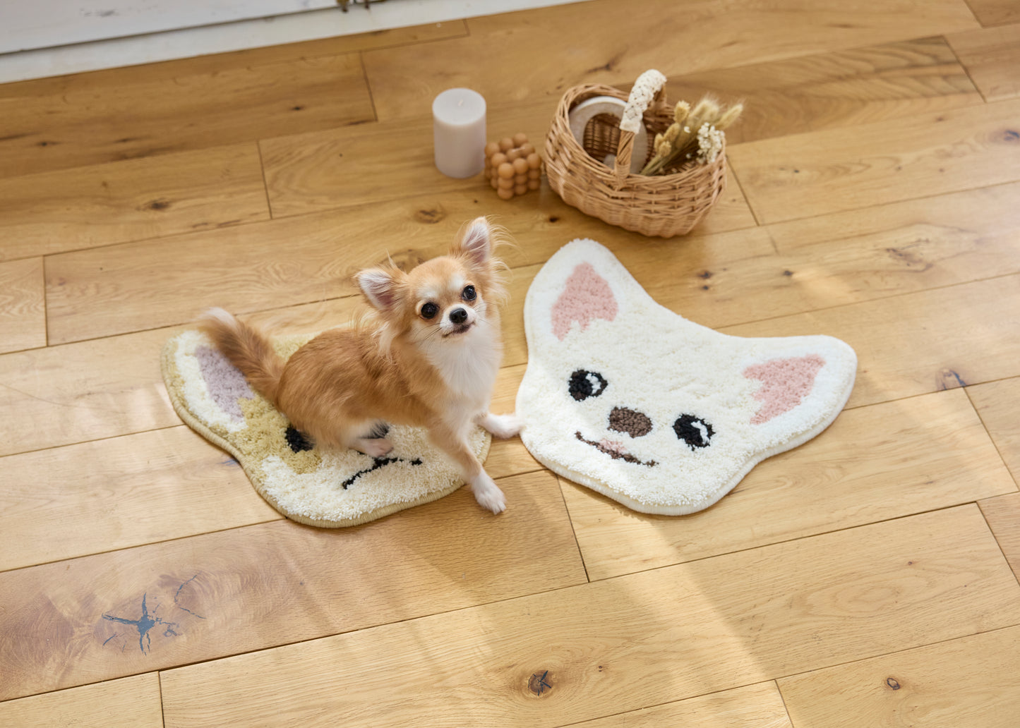 イヌカオ・チワワ｜玄関マット・チェアパッド｜＜全3色＞